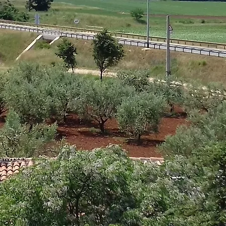 Appartamento Kaic 1045 *